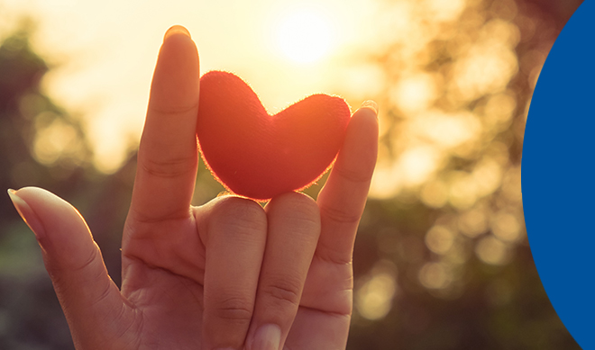 We create understanding, foster connections
